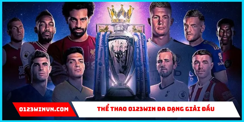 về cá cược thể thao 0123Win 