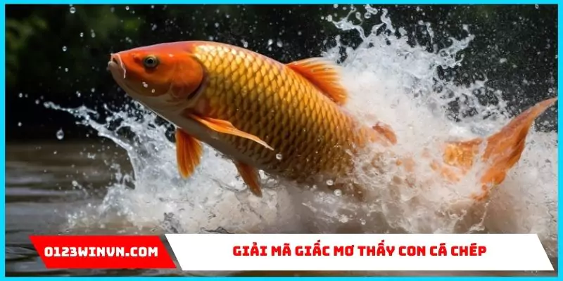 Mơ thấy con cá chép